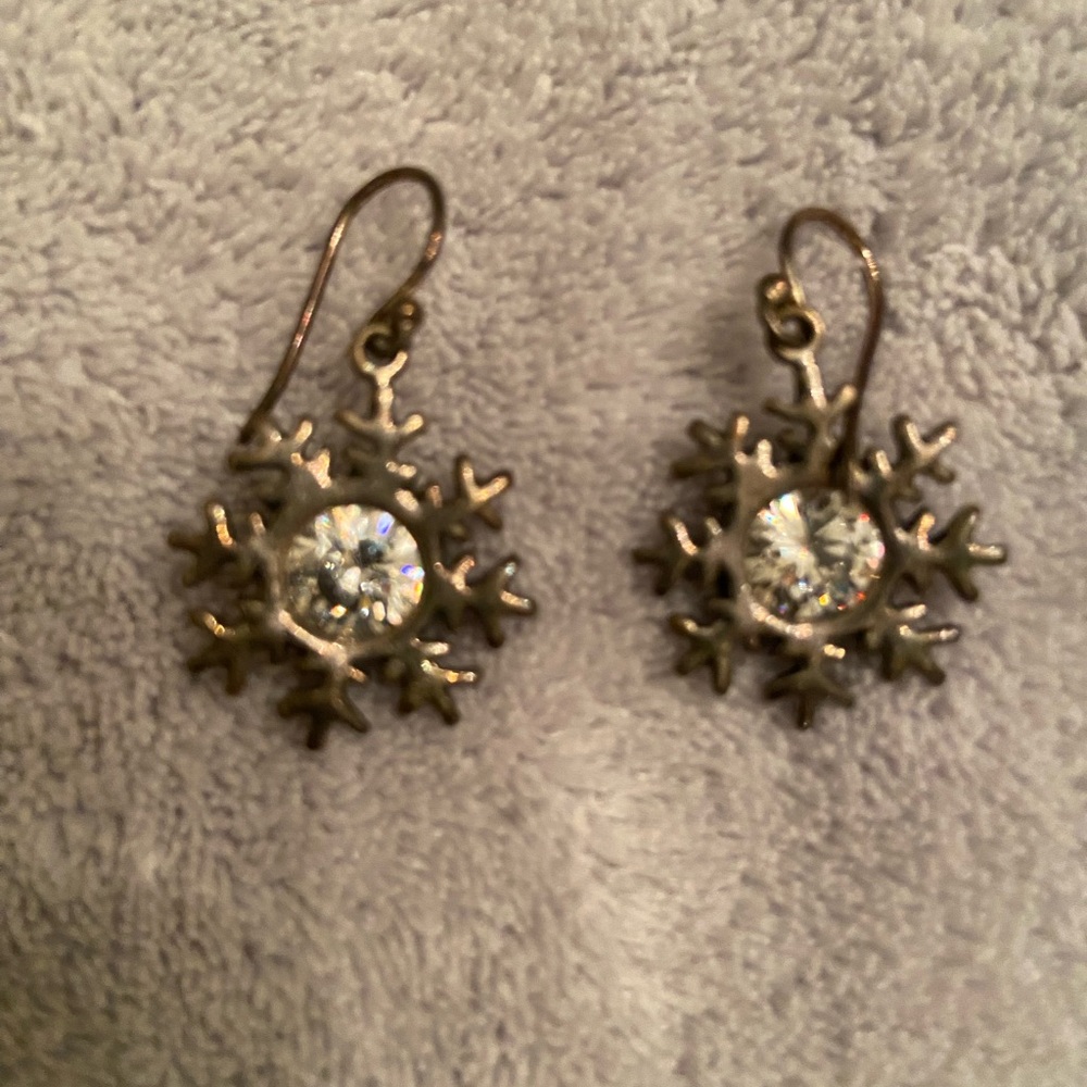 Elegant Snowflake Earrings in Silver